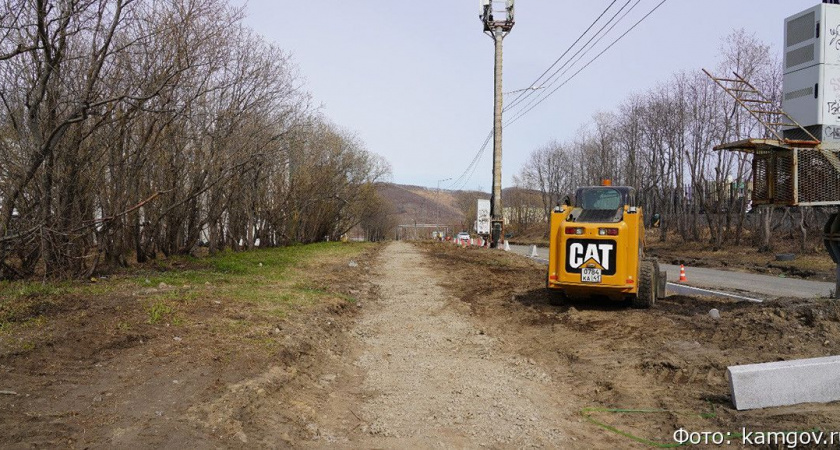 В Петропавловске-Камчатском вырубили деревья ради расширения дороги