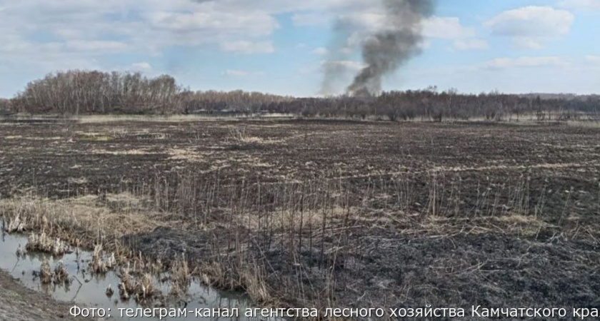 На Камчатке в районе поселка Ключи загорелся лес