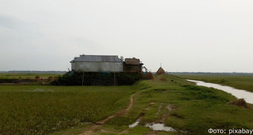 В 117,6 тыс. домах нет туалета ни в доме, ни на участке: на что выделят деньги селам