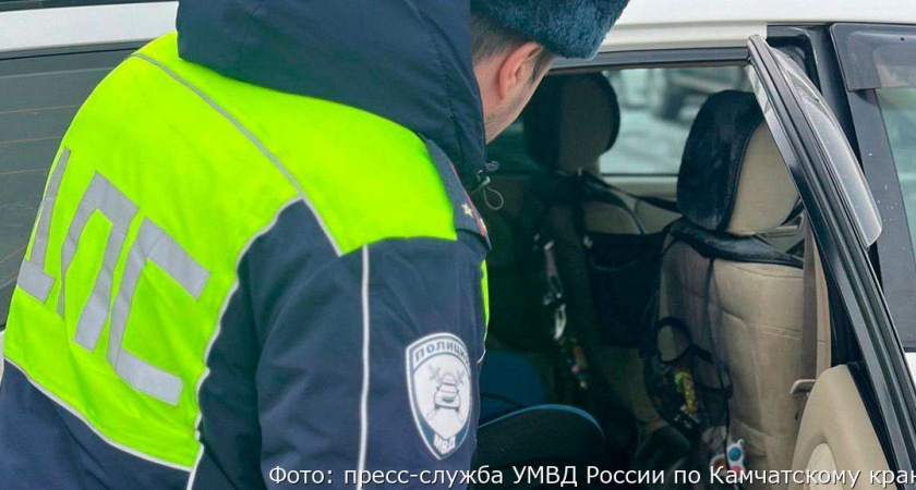 На Камчатке за нарушения правил перевозки детей оштрафовали 11 водителей