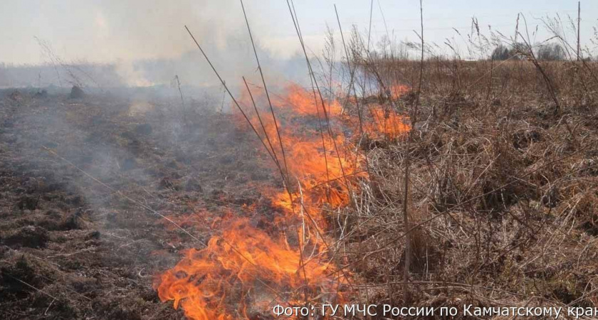 На севере Камчатки дети вместе с травой подожгли склад рыбзавода