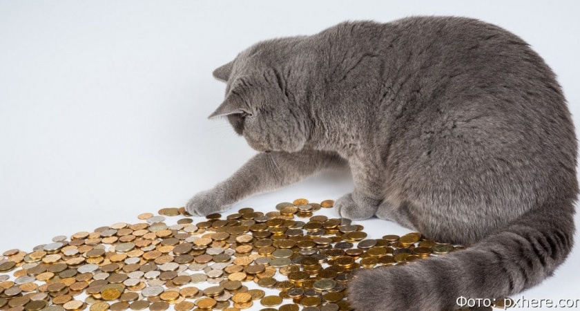 Гороскоп на 30 мая: Близнецам и Водолеям стоит поберечь деньги