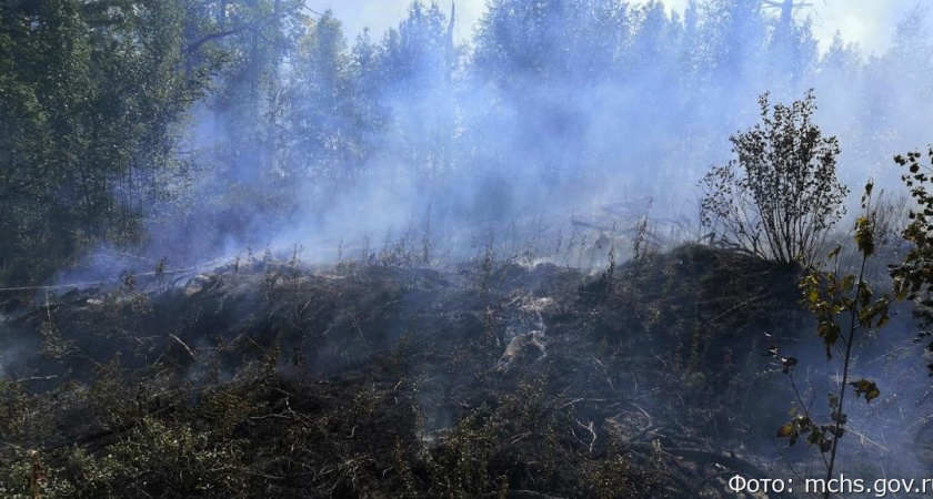 На Камчатке в селе Тигиль класс пожарной опасности достиг высшей отметки