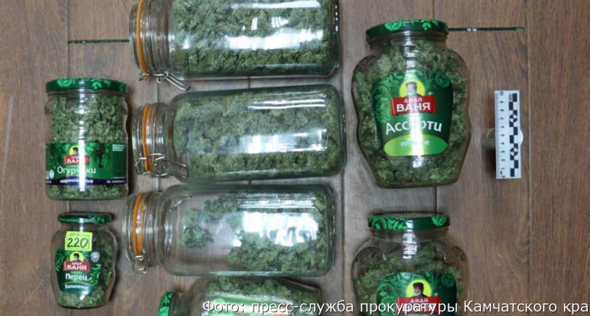 Житель Петропавловска-Камчатского «засолил» коноплю и отправился за решетку на 3 года