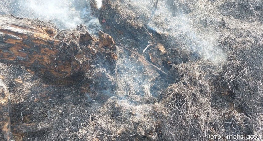 На Камчатке возросла угроза природных пожаров