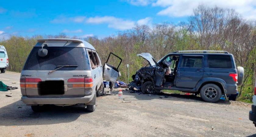 Полиция поделилась подробностями аварии, где пострадал министр здравоохранения Камчатки