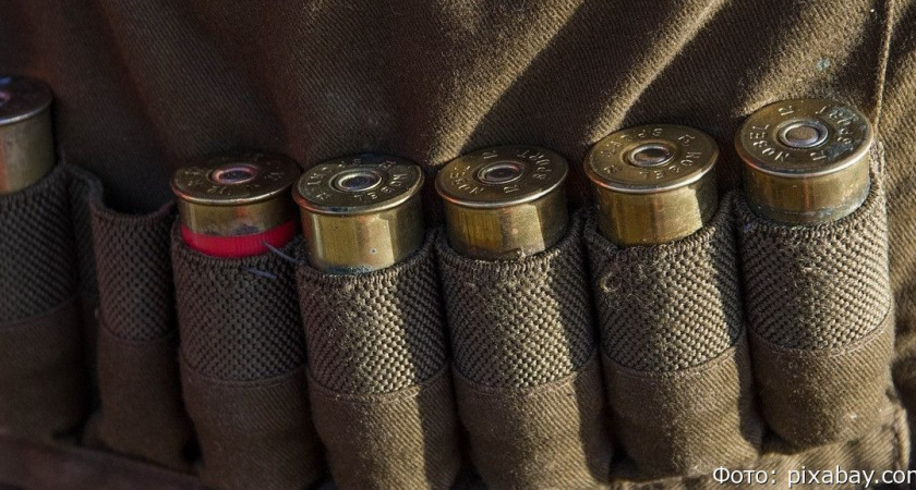 На Камчатке уголовное дело о незаконной охоте на медведей контролирует прокуратура