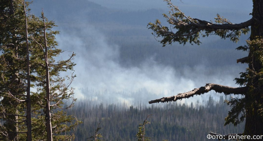 В пяти районах Камчатки ввели высокий класс пожарной опасности