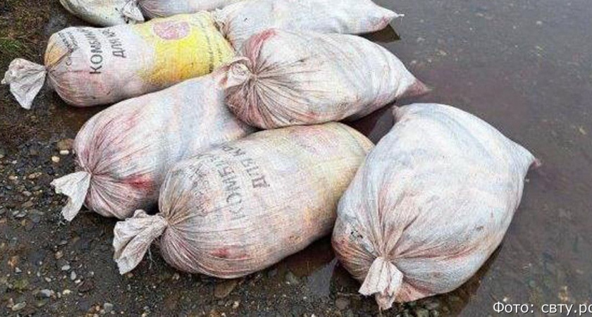 На Камчатке браконьеры удрали от рыбинспекторов, бросив почти 400 кило рыбы