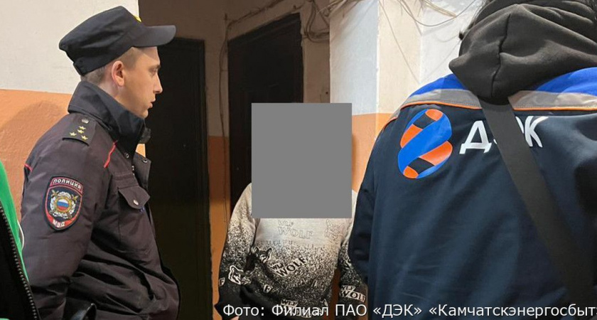 Жители камчатского города Елизово заплатят штраф за кражу электричества