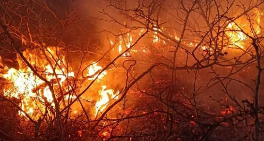 Лесной пожар недалеко от камчатского северного села Тиличики потушили за 19 часов