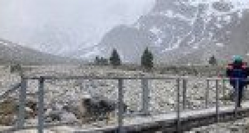 Камчатская собака-спасатель успешно сдала экзамен по поиску людей в горах