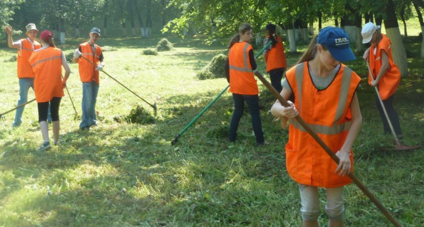 Кампания по летней трудовой занятости школьников на Камчатке перешла в активную стадию