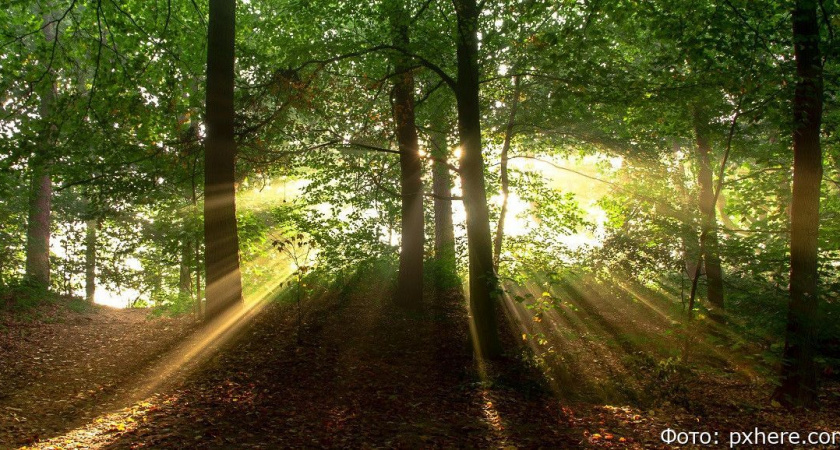 Гороскоп на 9 июня: Овны найдут разгадку, Близнецы успеют сделать всё задуманное