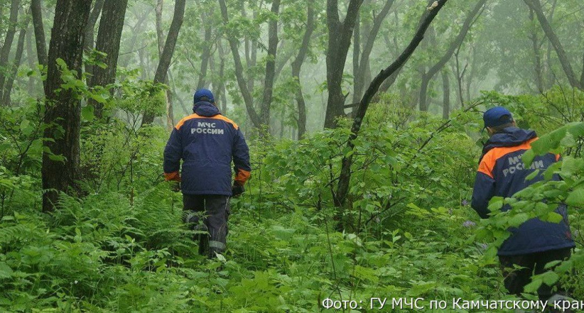 На Камчатке ищут пропавшего в лесу мужчину