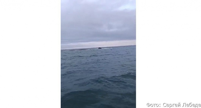 На Камчатке начавшийся прилив отрезал от суши людей на заглохшем квадроцикле