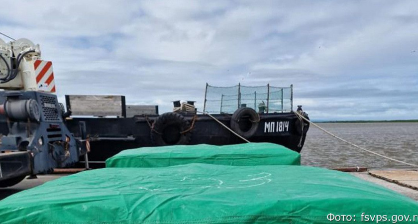 Более 15 тысяч тонн рыбы и морепродуктов вывезли с Камчатки в Китай с начала года