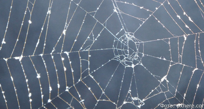 Гороскоп на 11 июня: Рыбам приснится вещий сон, Львы могут запутаться