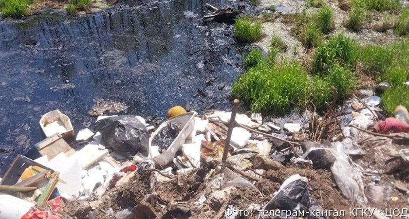 В Елизовском районе прямо у водоема образовалась свалка с нефтеотходами