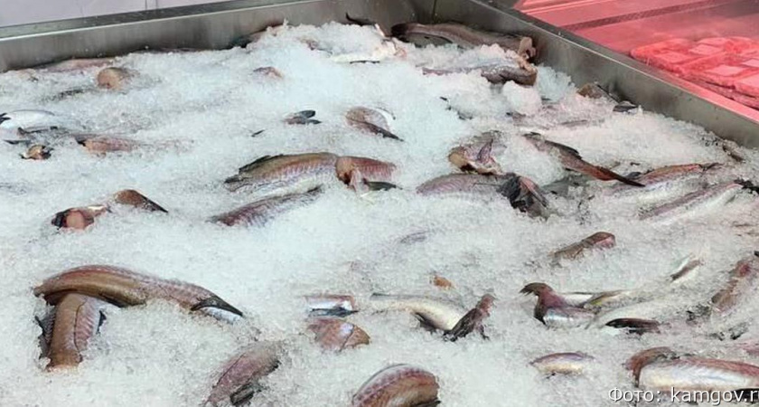 Компания-владелец «Пятёрочки» и «Перекрёстка» планирует зайти на Камчатку