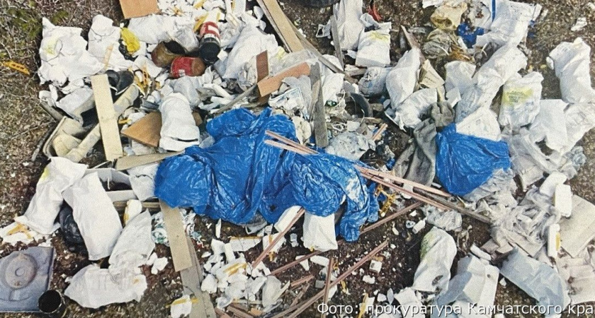 На Камчатке природоохранная прокуратура обнаружила свалку по информации СМИ