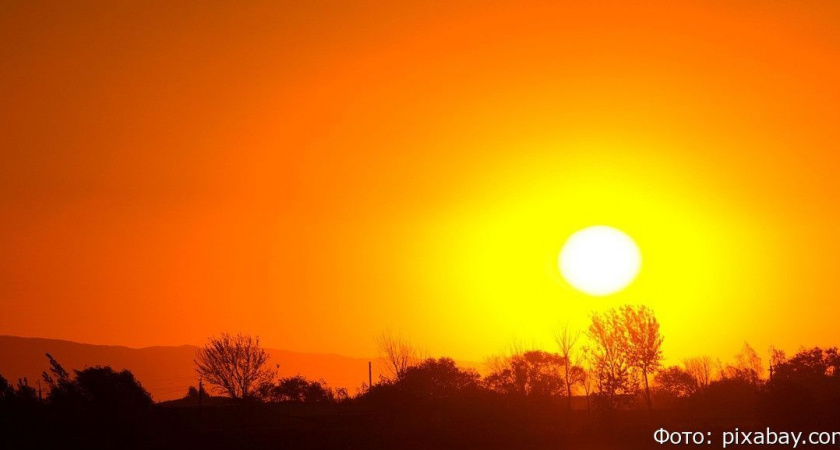 Работникам в России требуют ввести регулярную проверку здоровья в летний период