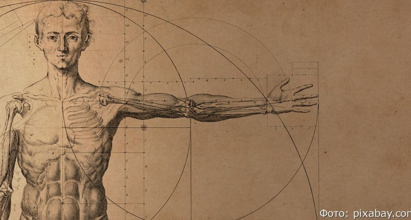 Тест про медицину: какие факты о человеческом теле правда, а какие – ложь