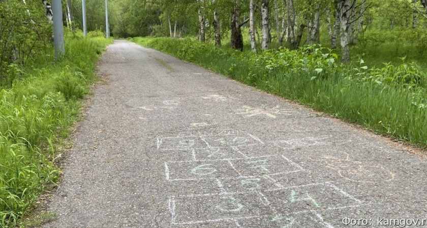 Камчатские эко-соревнования «Чистые игры» перенесли на неделю