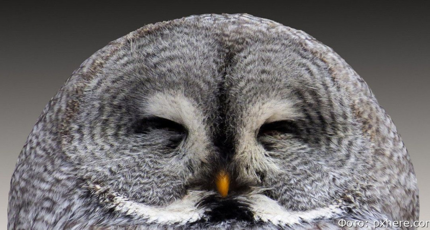 Гороскоп на 17 июня: Скорпионам стоит быть мудрее, Весам нужно расслабиться