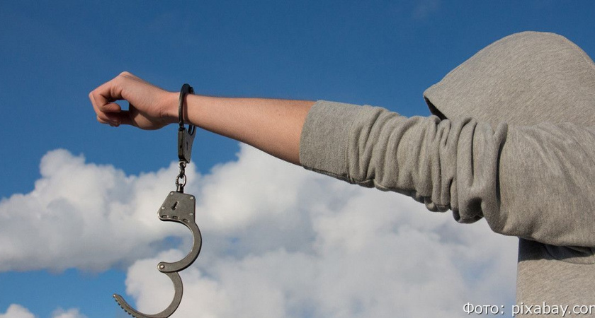 Елизовский вор-рецидивист взял микрозайм на друга и обчистил магазин электроники