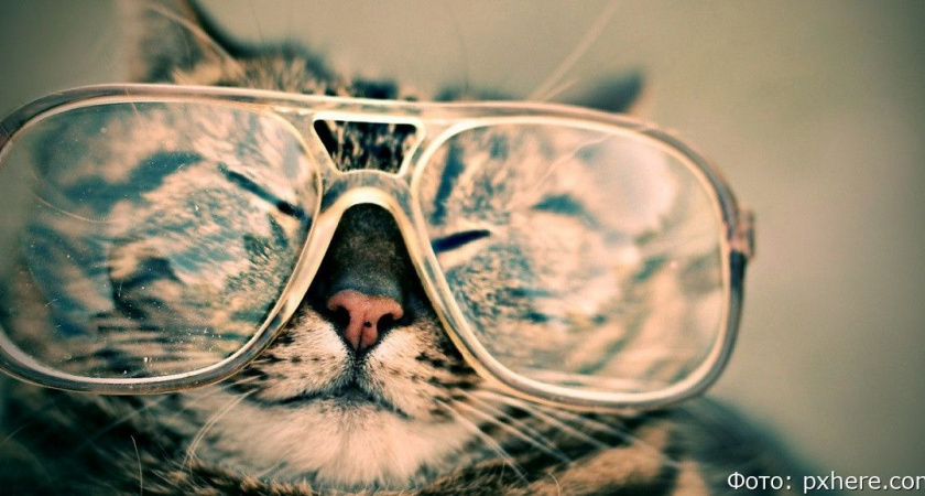 Гороскоп на 18 июня: Близнецов выручит чувство юмора, Ракам улыбнётся удача