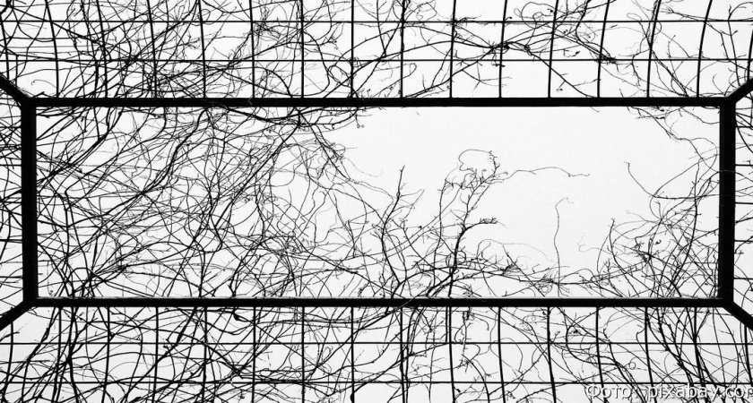 В России дали осужденным право на длительные свидания в СИЗО