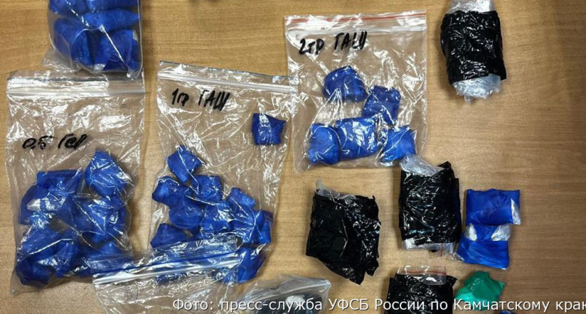 Камчатские полицейские «накрыли» наркоторговцев с крупной партией веществ