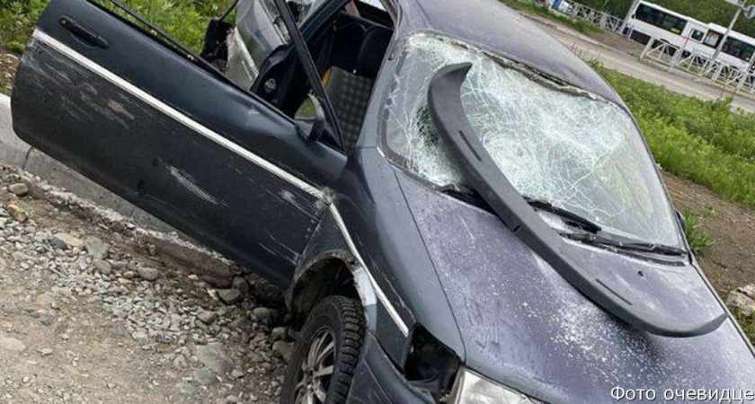 В Петропавловске-Камчатском мигранты устроили драку и закидали камнями автомобиль
