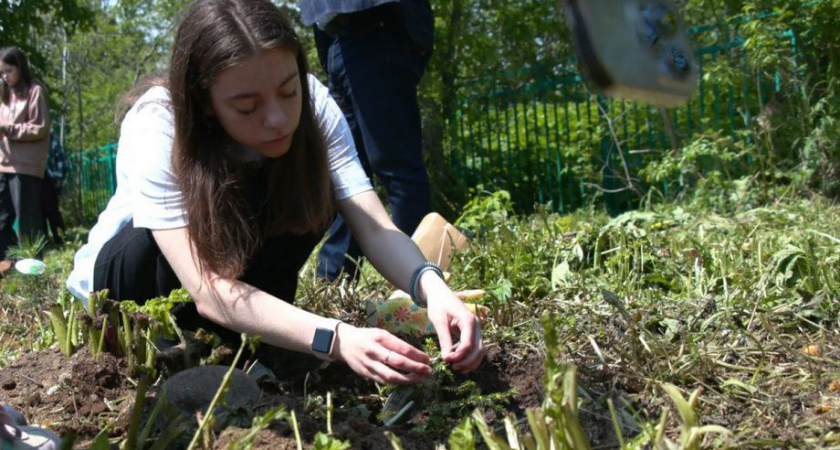 Двадцать семь миллионов деревьев высажено в «Саду памяти» по всей стране — Камчатка поддержала традицию