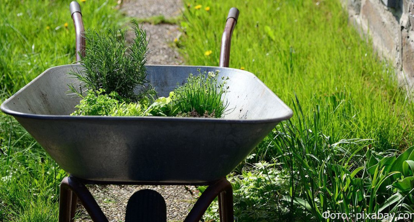 Житель Камчатки насмерть забил знакомого и оставил его остывать в тележке