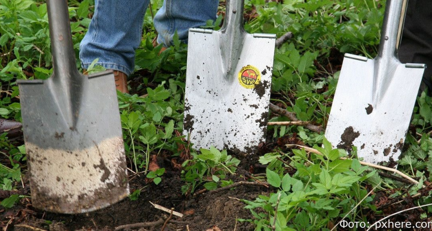 Бесплатный участок или 350 тысяч рублей: камчатским многодетным предоставили выбор