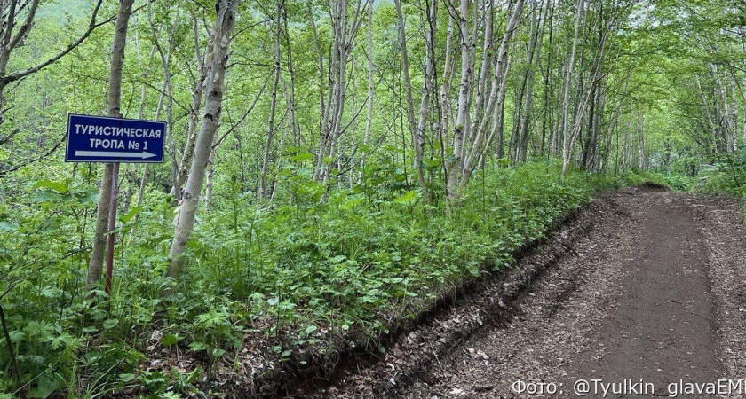 Глава Елизовского района ищет выносливых людей для ремонта ступеней в парке «Голубые озёра»