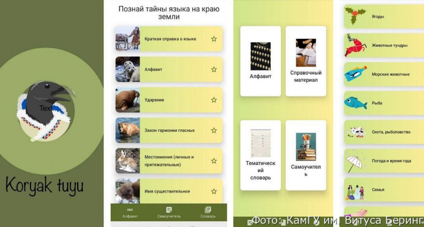 На Камчатке придумали «Дуолинго» для изучения корякского языка
