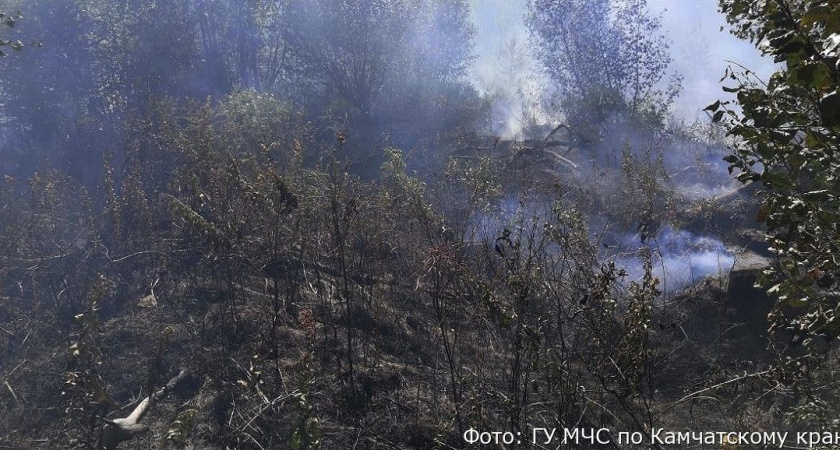 В двух сёлах и одном округе Камчатского края действует запрет на посещение лесов