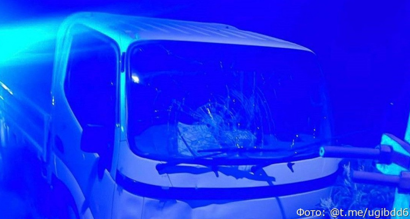 Пьяный водитель врезался в группу детей, которые шли по обочине