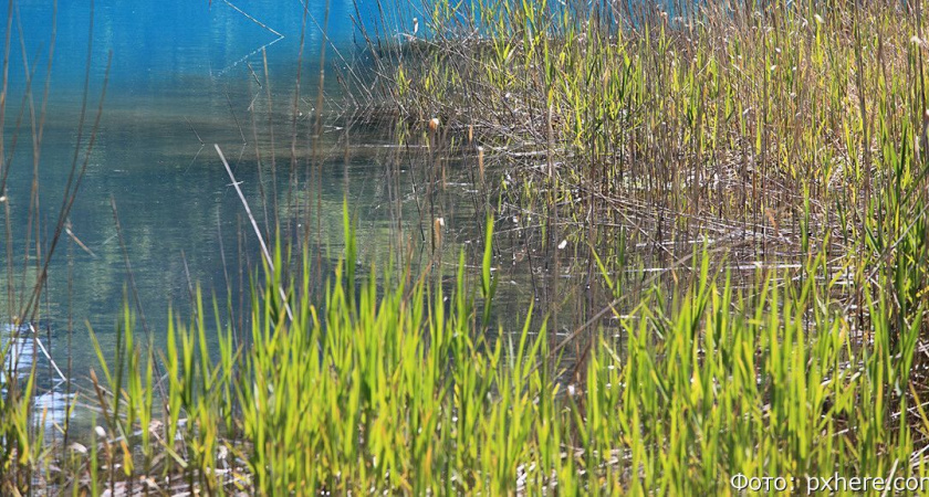 В отсрочке отказано: администрации Усть-Большерецка придется очистить сточные воды