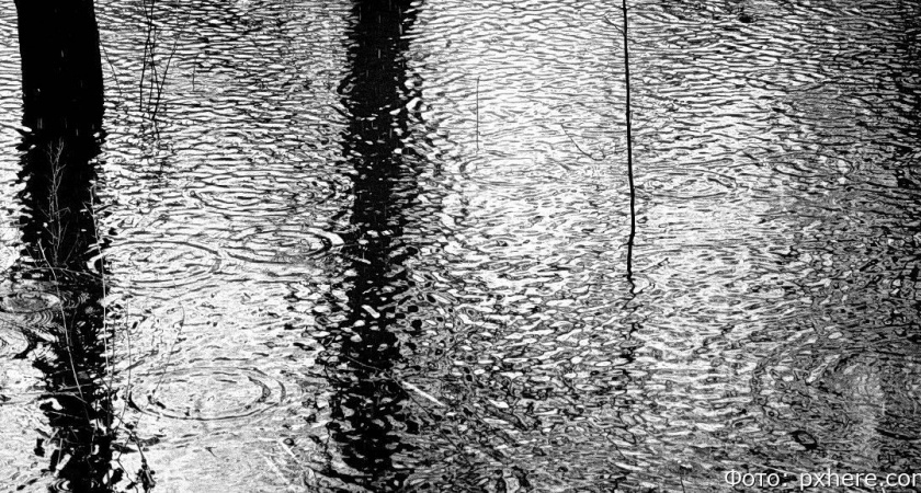 В камчатском селе Соболево река подтопила придомовые территории и огороды