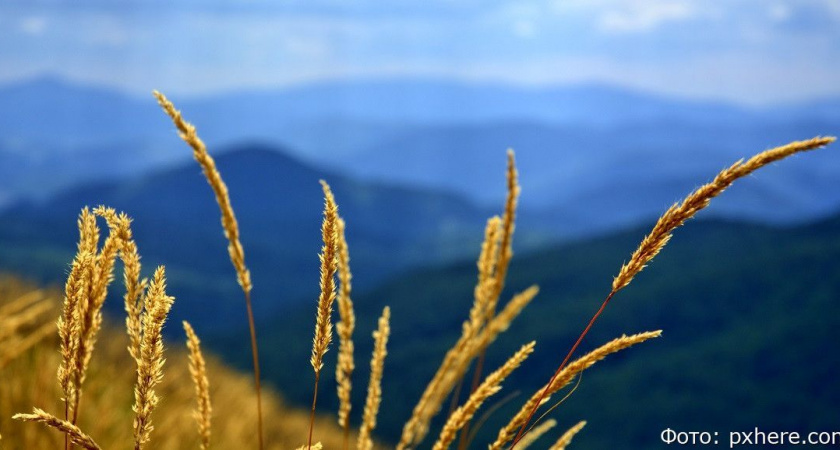 Гороскоп на 3 июля: Близнецы, не торопитесь и не упрямьтесь; Рыбы, прислушайтесь к советам