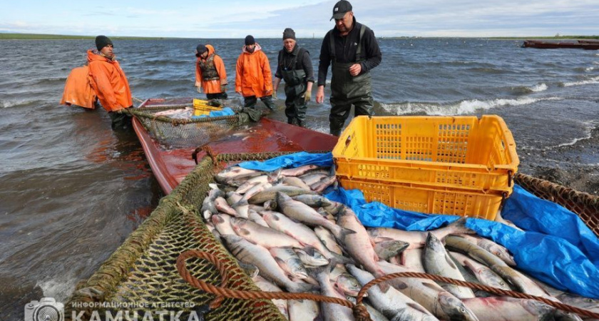 Родовая община КМНС Камчатки подала многомиллионный иск на Корфский рыбокомбинат — арбитражный суд