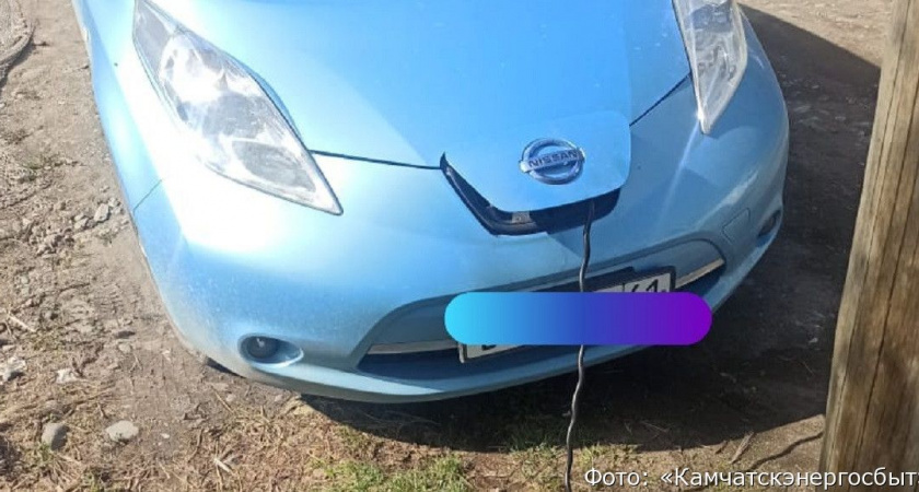 В Елизове электромобиль «присосался» к линии электропередачи в обход счётчиков