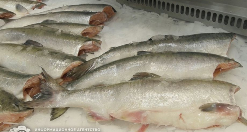 Камчатцам в этом сезоне будет доступна рыба со скидкой 30%