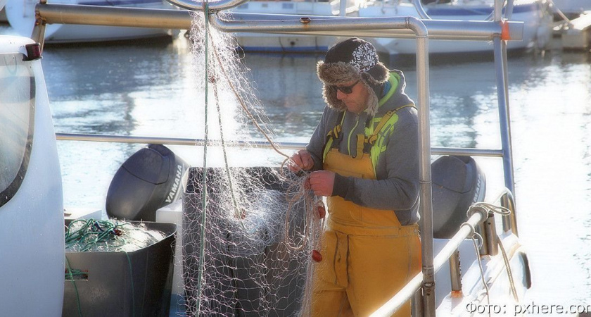 На Камчатке рыбаку пообещали зарплату в миллион рублей