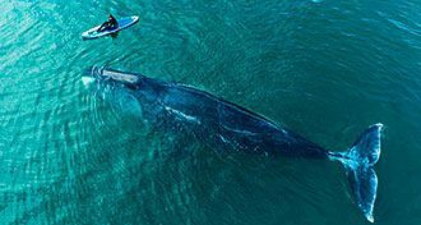 Куда поехать за?