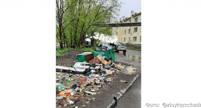 За мусор и крыс во дворе Петропавловска организации объявили предостережение